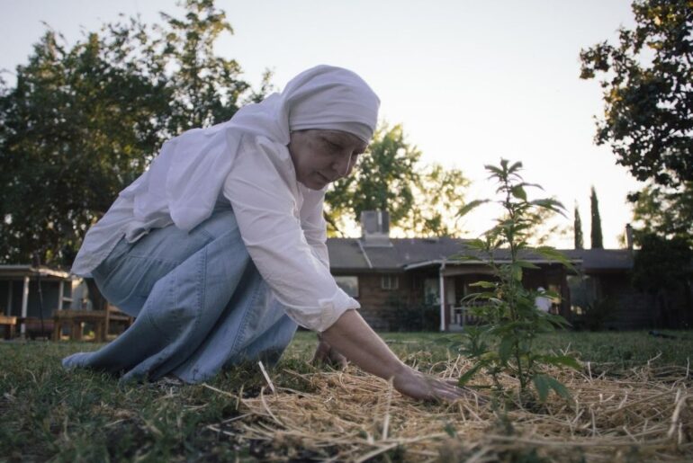 sister kate and growing cannabis plant