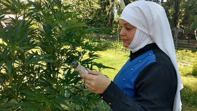 Sister Holds a Cannabis Bundle