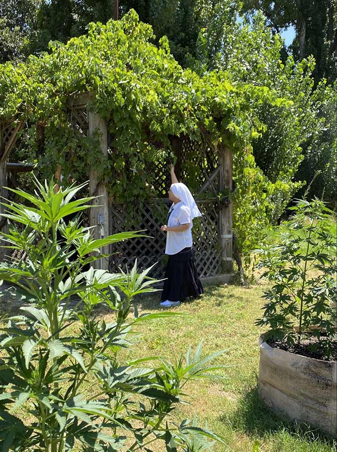 sister Kate taking a walk