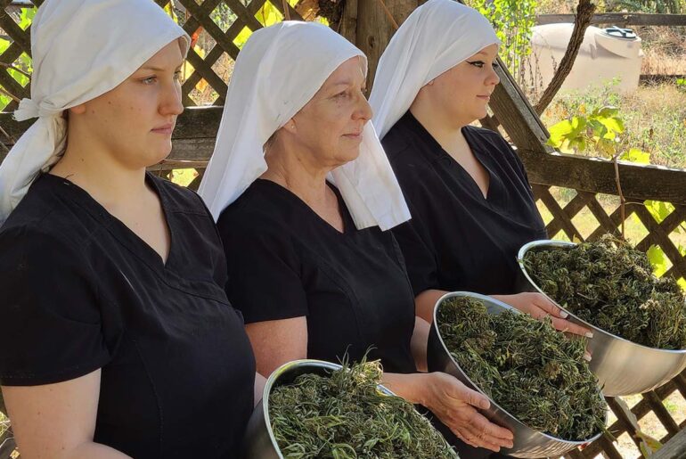 sisters hold cannabis plant