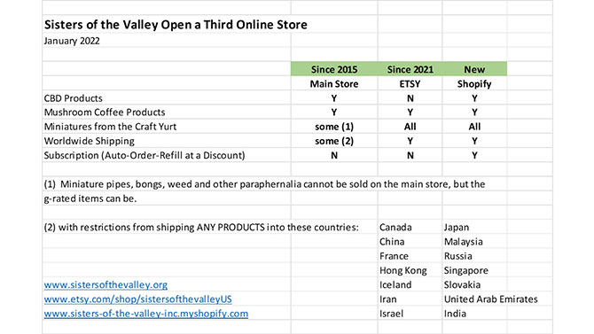 Why We Opened an ETSY and a Shopify Store store-chart