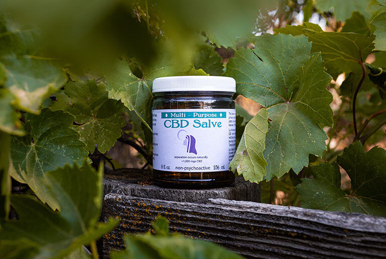 CBD Salve Everything You Need to Know About Its Benefits featured