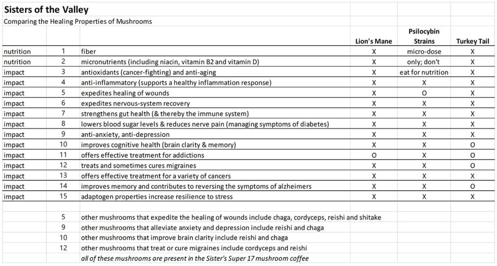 Mushrooms, Mood & Brain Clarity Table